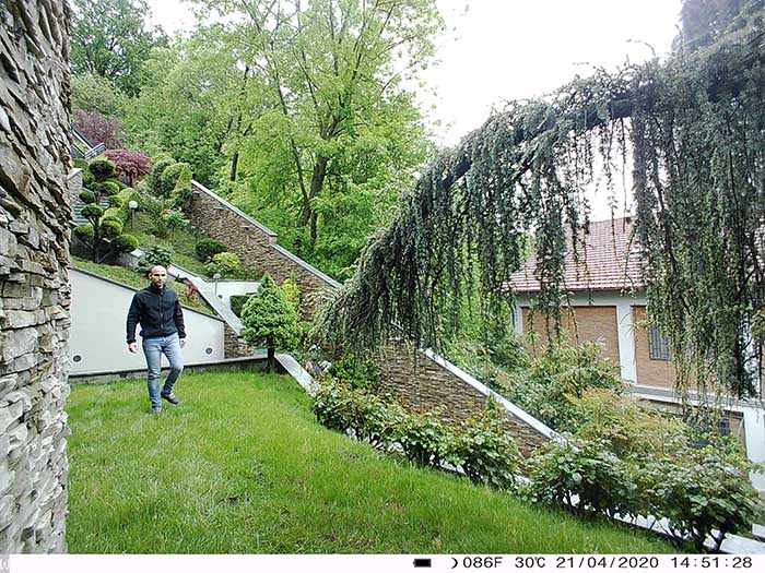 Immagine fototrappola
